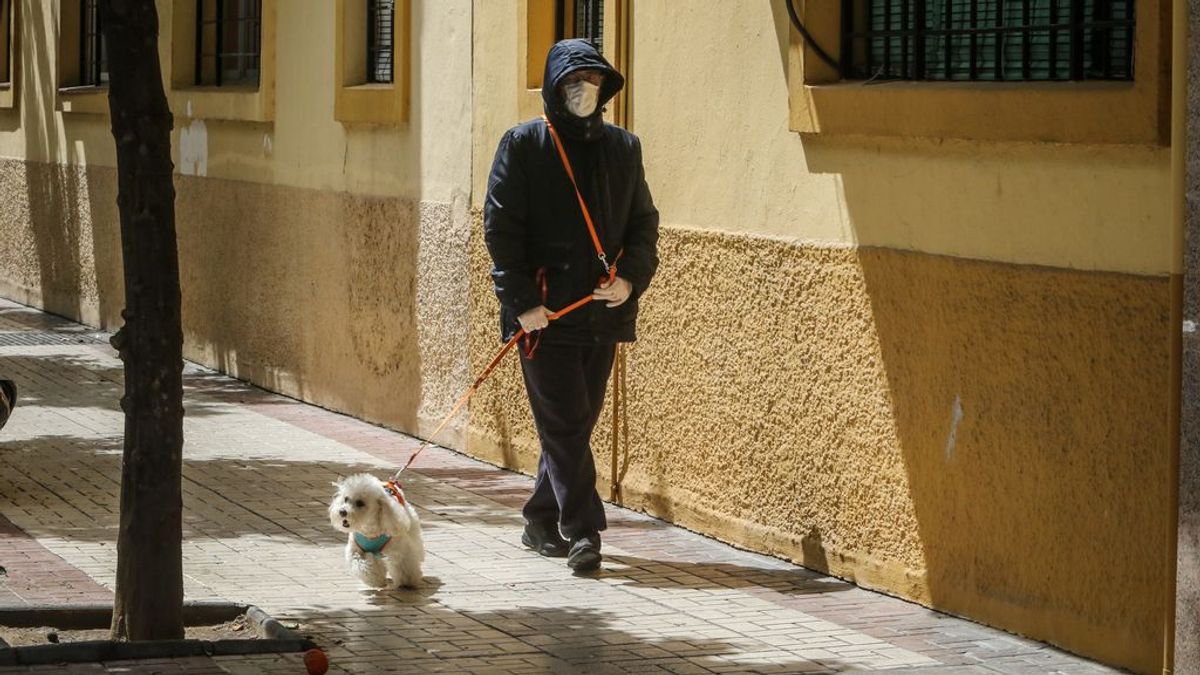 Un hombre es denunciado por alquilar sus perros para pasear en A Coruña