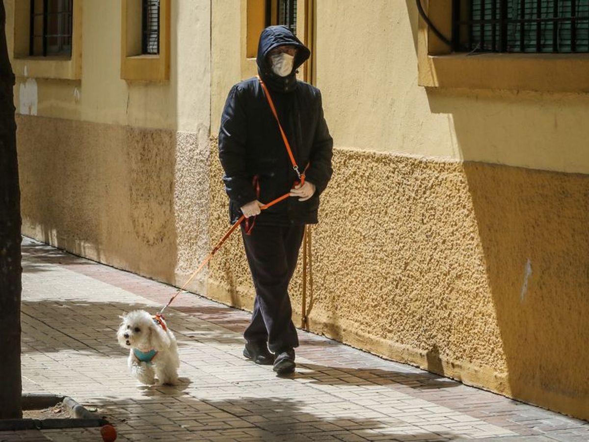 Limpiamente Bloquear Camello Un hombre es denunciado en A Coruña por alquilar sus perros para pasear