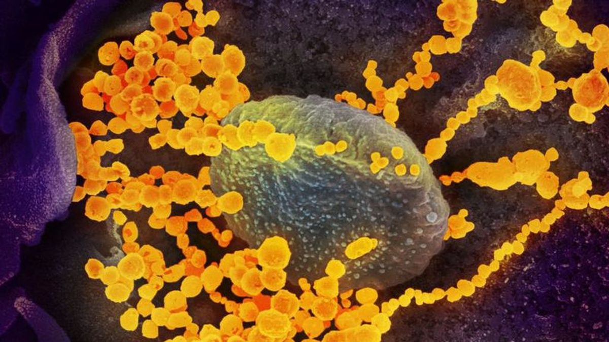 El octavo día del coronavirus: el momento más duro de la enfermedad