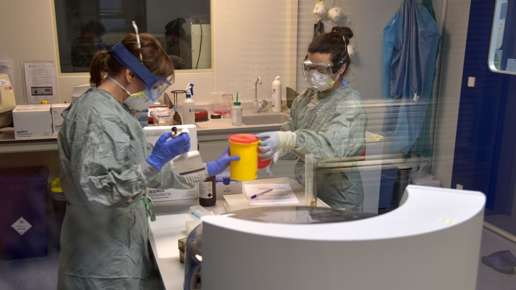 La Universidad Complutense ya está haciendo test rápidos de detección del COVID-19 en sus laboratorios La Universidad Complutense ya está haciendo test rápidos de detección del COVID-19 en sus laboratorios