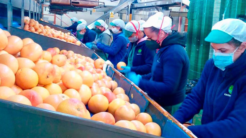 Trabajar para que todos podamos comer Trabajar para que todos podamos comer