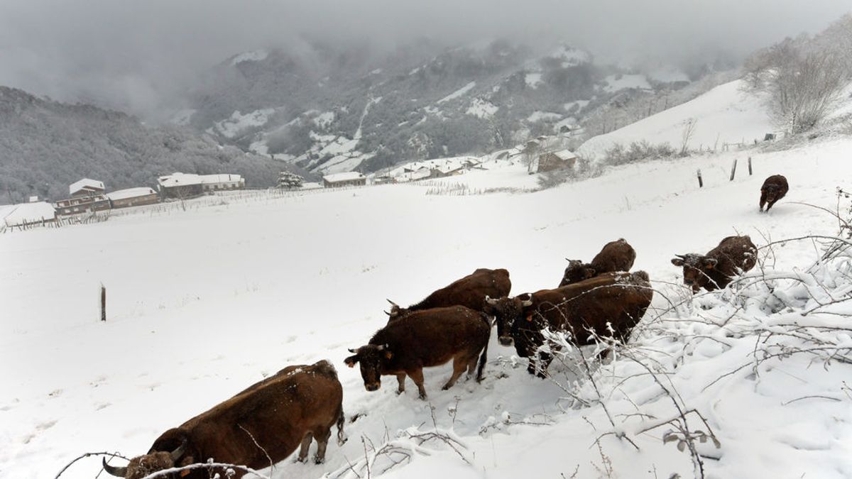 Hace más frío en Soria que en Moscú: el invierno vuelve al sur de Europa pero no al norte