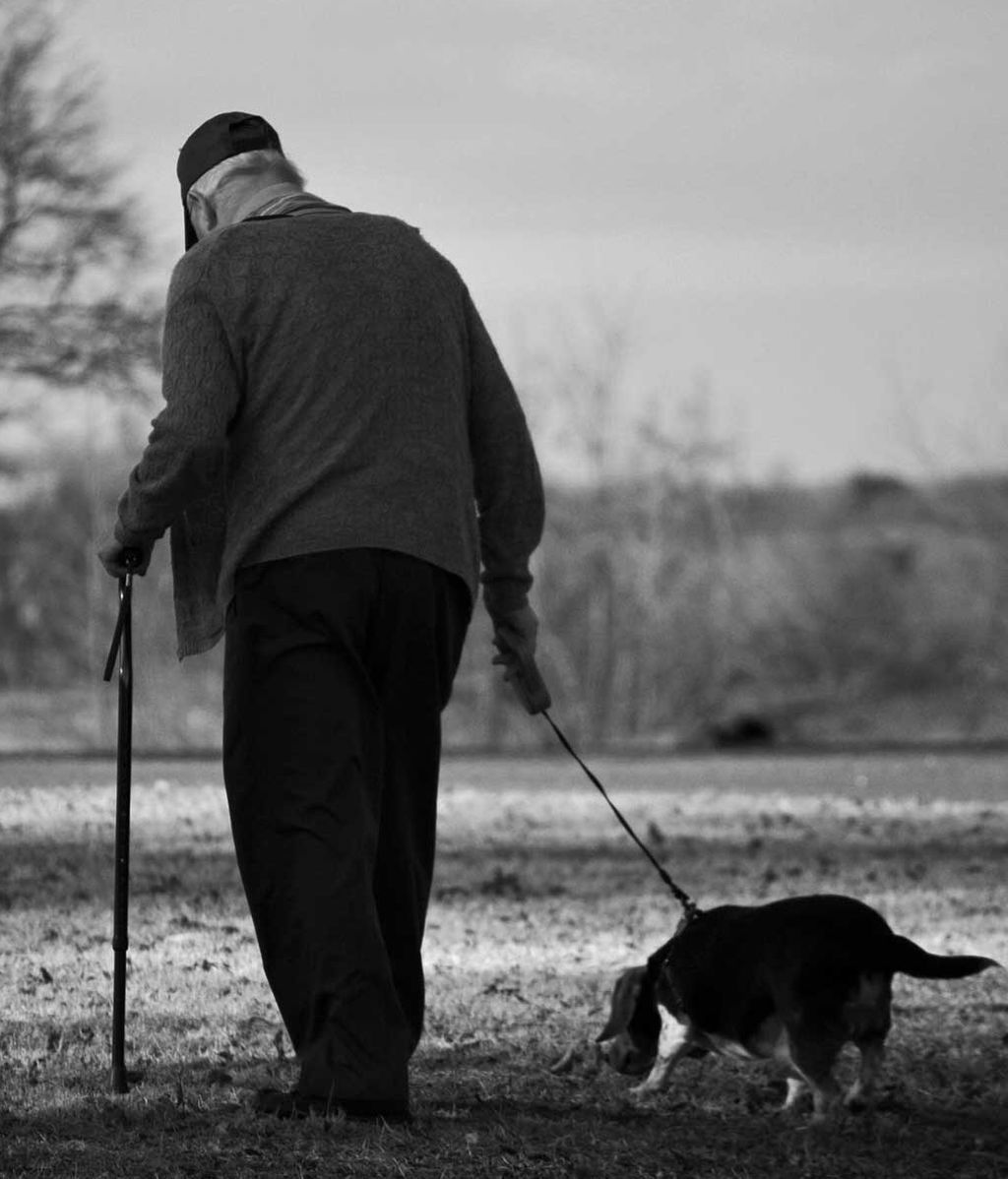 Anciano pasea a su perro