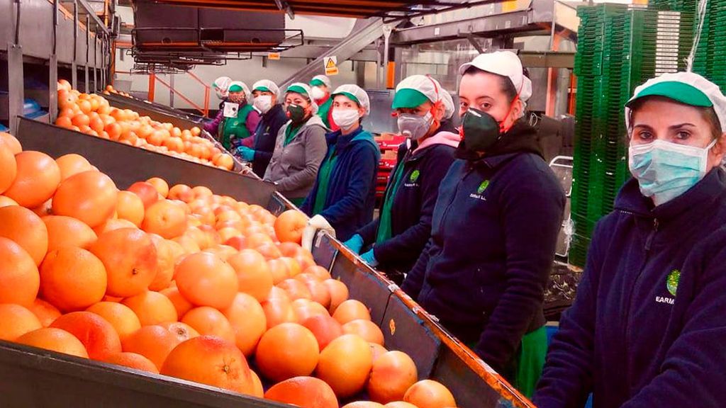 Las empaquetadoras trabajando en época del coronavirus