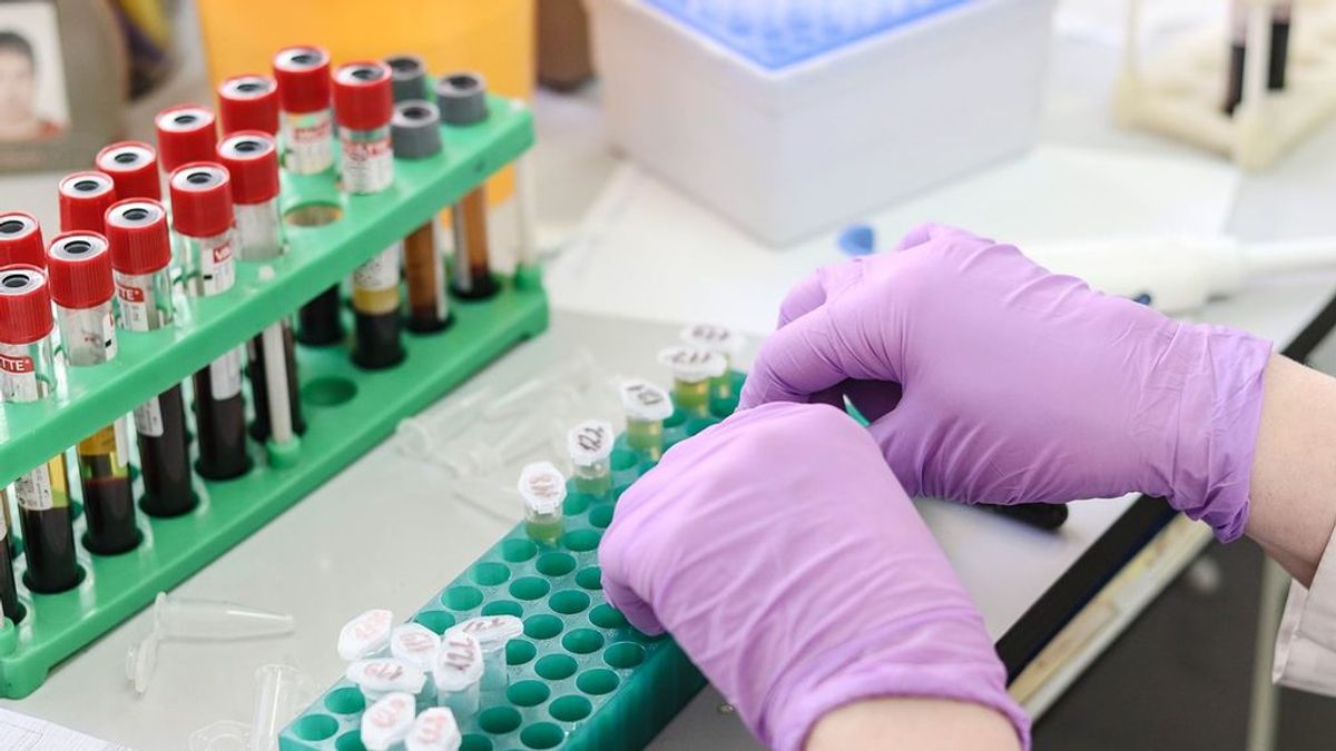 Madrid estudia usar plasma sanguíneo de pacientes curados del COVID-19 para tratar casos graves Madrid estudia usar plasma sanguíneo de pacientes curados del COVID-19 para tratar casos graves