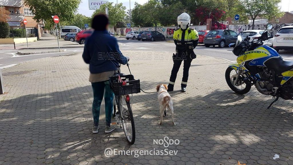 La pillan en bici, con su perro cojo atado al manillar, a un kilómetro de su casa en Sevilla La pillan en bici, con su perro cojo atado al manillar, a un kilómetro de su casa en Sevilla