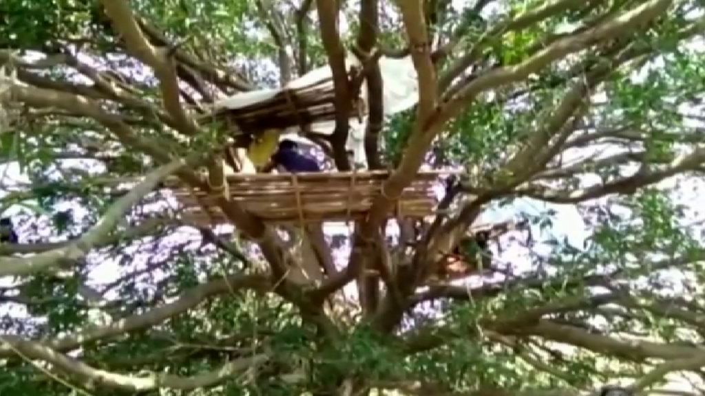 La cuarentena por coronavirus obliga a los más pobres de India a refugiarse en árboles