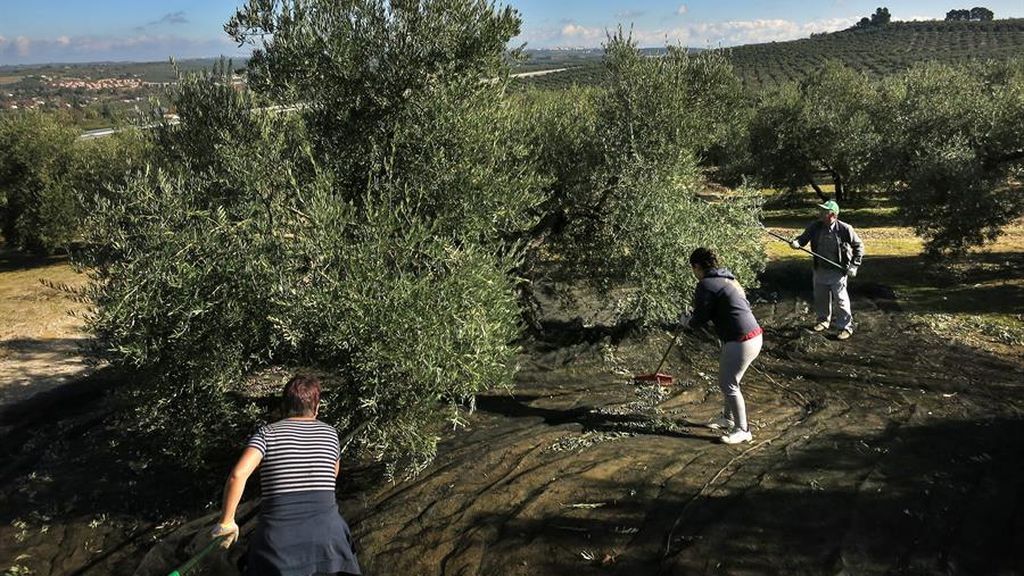 Estos son los trabajos excluidos de la paralización total del Gobierno Estos son los trabajos excluidos de la paralización total del Gobierno