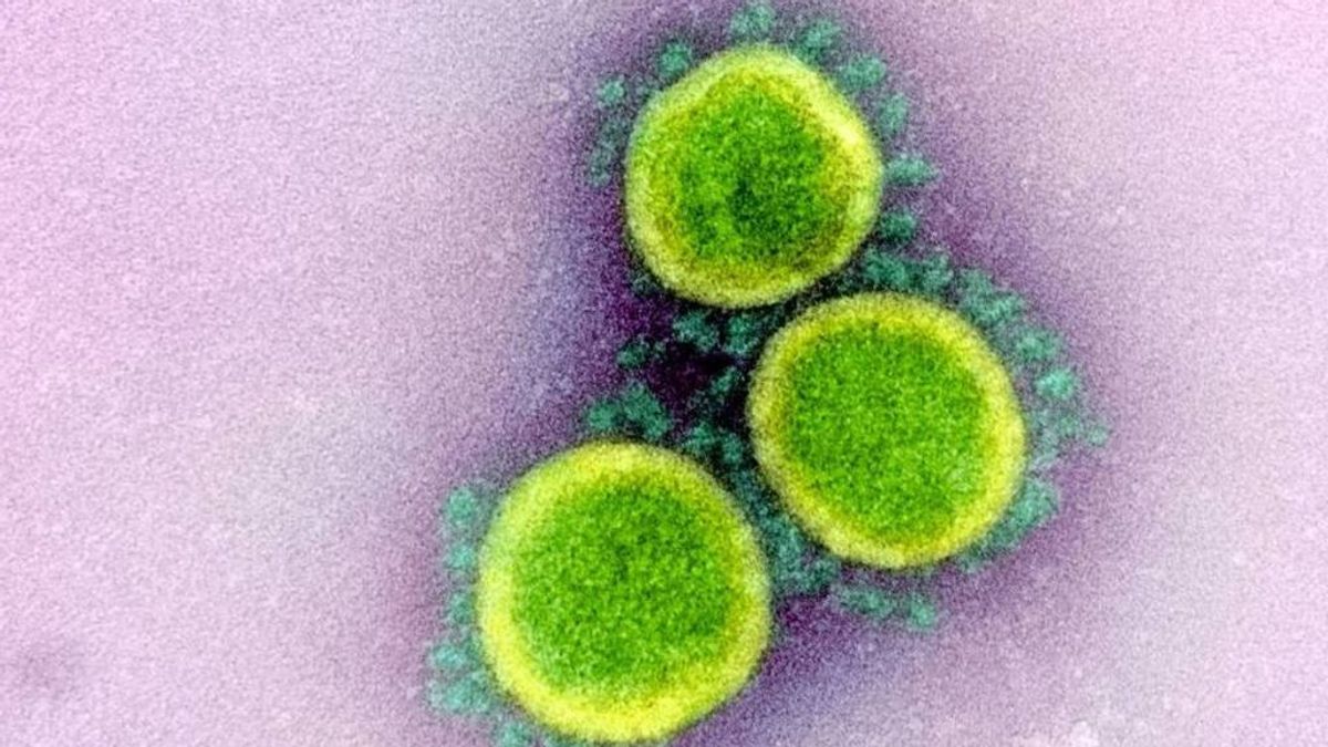 No, el coronavirus no viaja libremente por el aire: confirmado por la OMS No, el coronavirus no viaja libremente por el aire: confirmado por la OMS