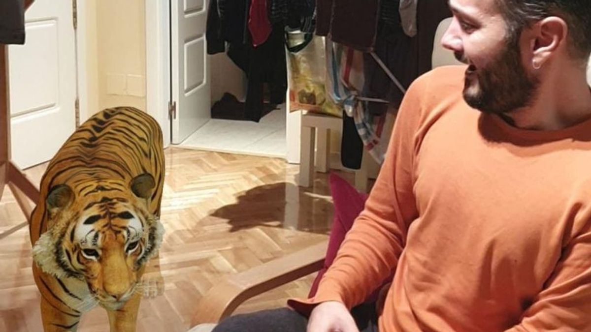 Pasa la cuarentena con un oso o tigre en casa gracias a Google