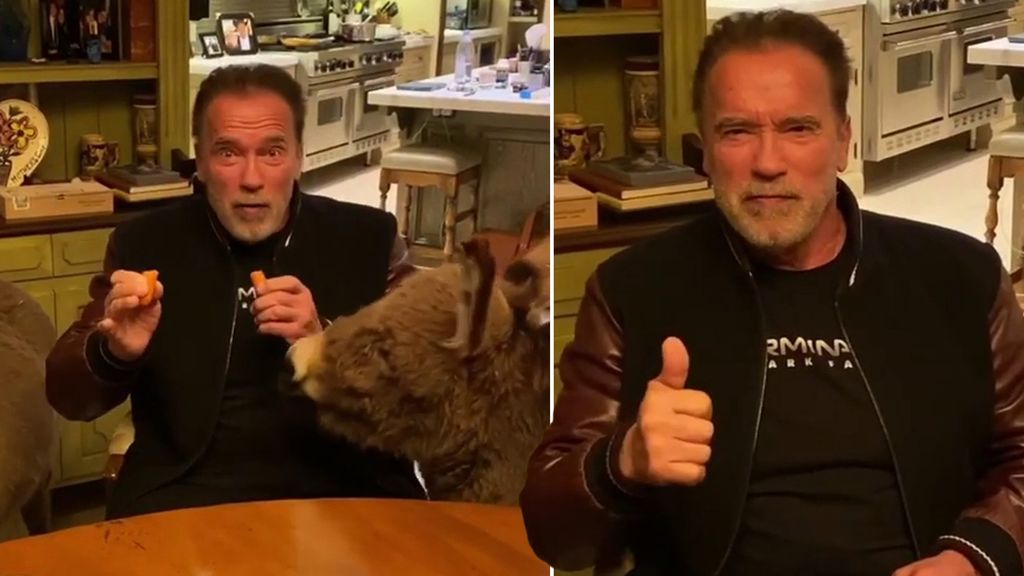 Schwarzenegger en su casa