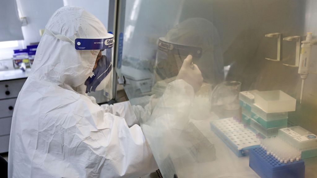 "Llegamos a hacer mil pruebas al día, 24 horas al día": el rito frenético de los laboratorios del COVID-19 "Llegamos a hacer mil pruebas al día, 24 horas al día": el rito frenético de los laboratorios del COVID-19