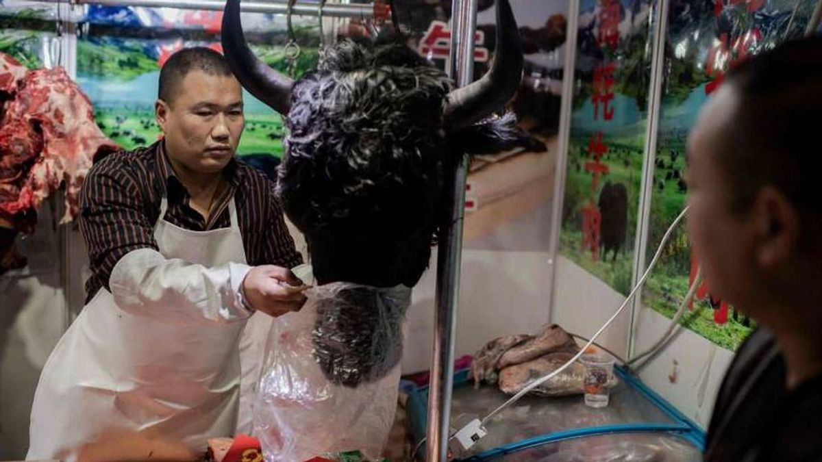 Los mercados de China siguen vendiendo murciélagos, perros y gatos vivos tras la crisis del COVID-19