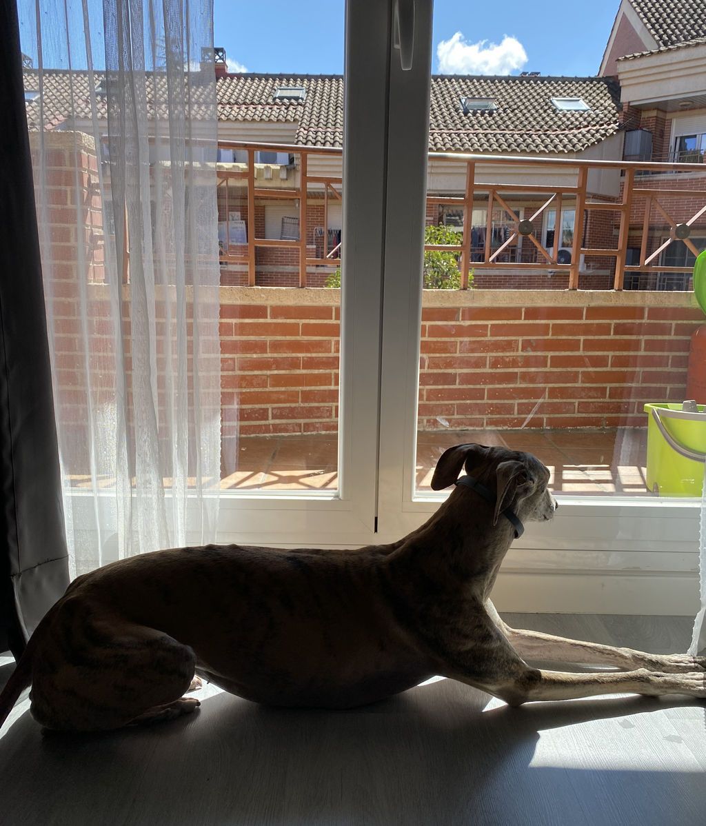 Alana mirando a la calle: "¿Cuándo podré volver a salir a la calle con normalidad?"