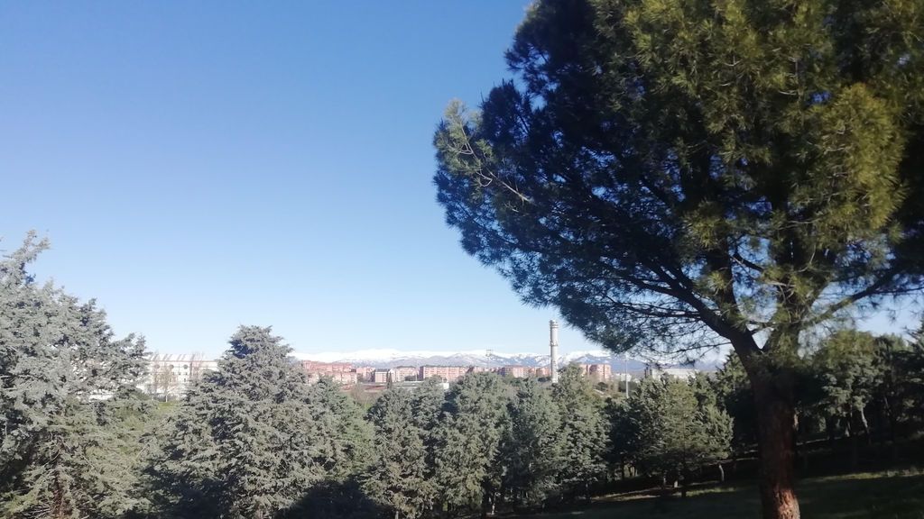 Diario de confinamiento. Día 19 Diario de confinamiento. Día 19