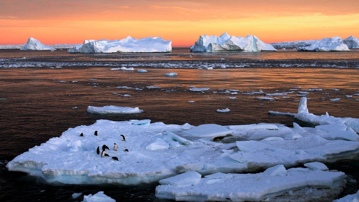 Primera ola de calor en la Antártida
