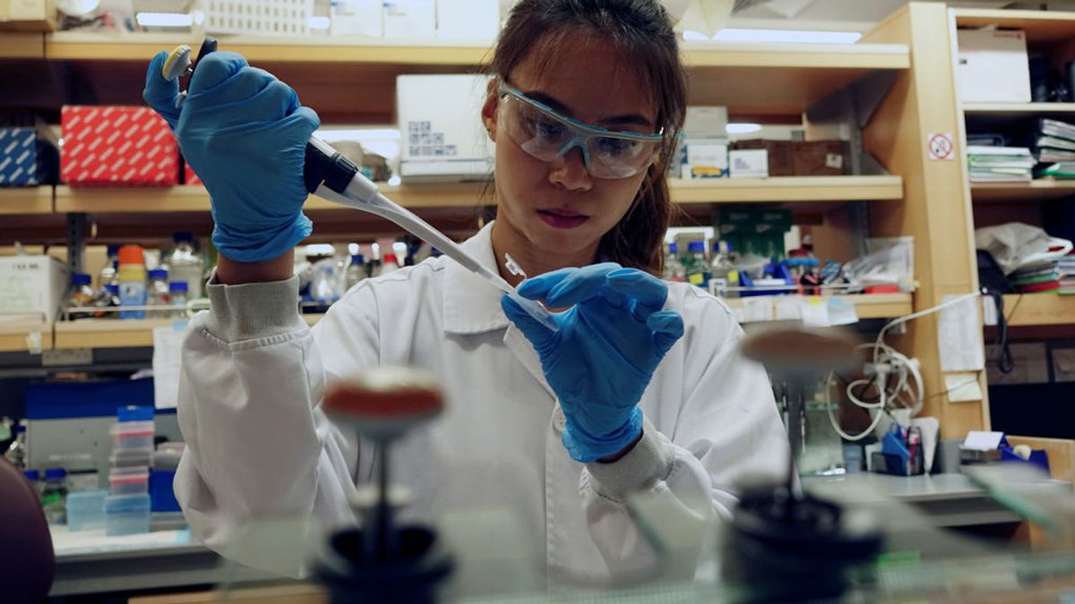 China pide voluntarios de todo el mundo para probar su vacuna contra el coronavirus China pide voluntarios de todo el mundo para probar su vacuna contra el coronavirus