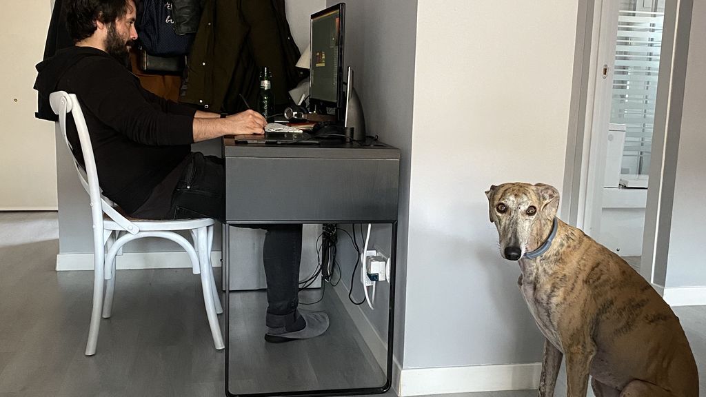 Alana con cara triste porque no logra la atención de su dueño