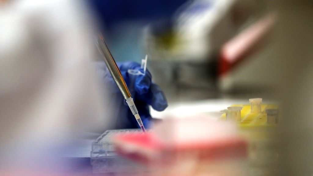 Ratones y un parche de 'microagujas': una vacuna en desarrollo contra el coronavirus Ratones y un parche de 'microagujas': una vacuna en desarrollo contra el coronavirus