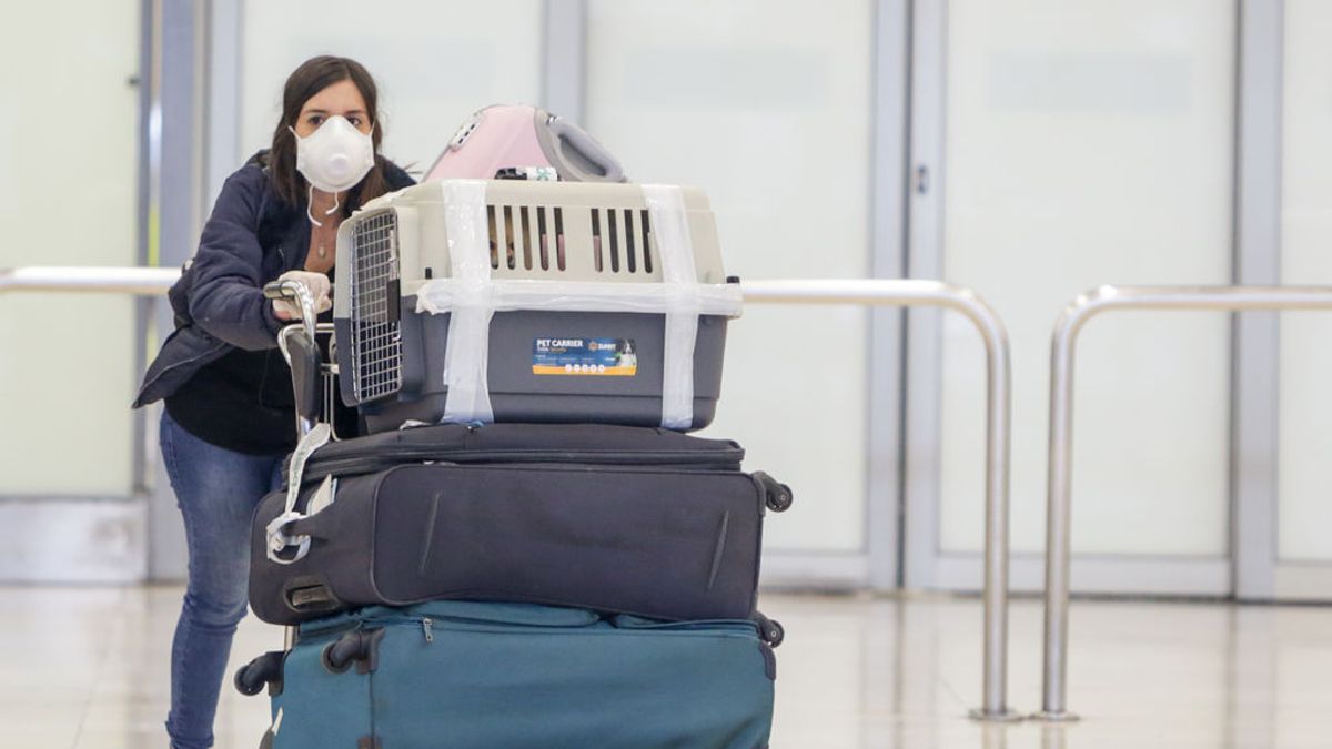 Coronavirus: se desploman un 95% los vuelos en Santa Santa respecto a hace un año