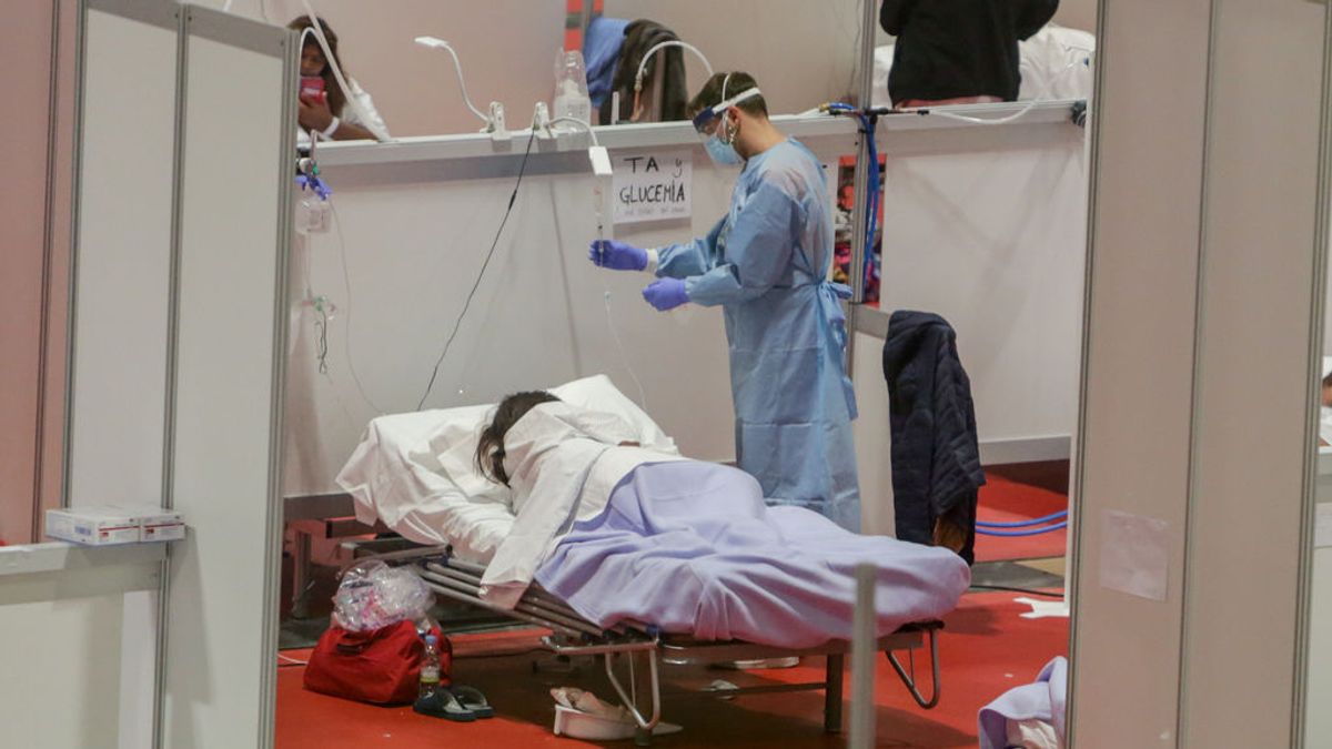 El 80% de los contagiados por coronavirus pierde el olfato, según un estudio internacional El 80% de los contagiados por coronavirus pierde el olfato, según un estudio internacional