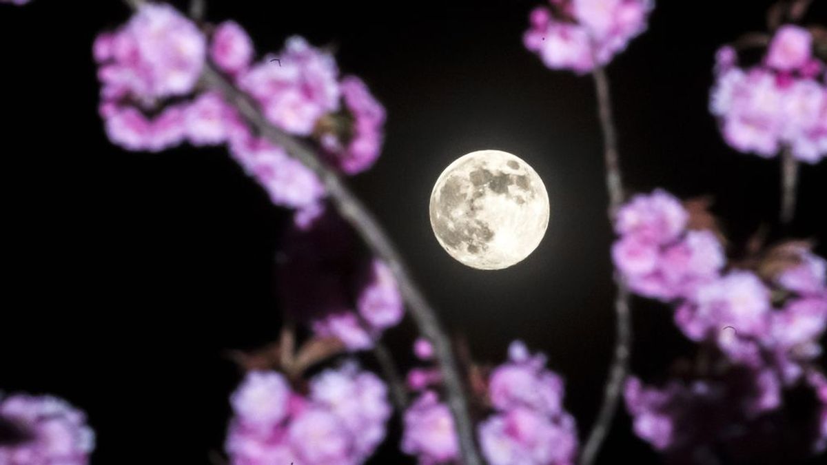 Superluna 'rosada' desde la ventana: el mejor momento para disfrutarla en cuarentena