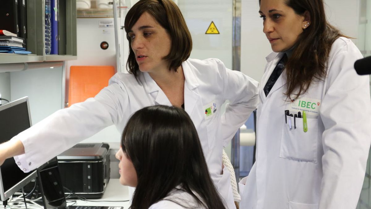 Científicos españoles identifican un fármaco contra el COVID-19 que ya se va a probar en pacientes Científicos españoles identifican un fármaco contra el COVID-19 que ya se va a probar en pacientes