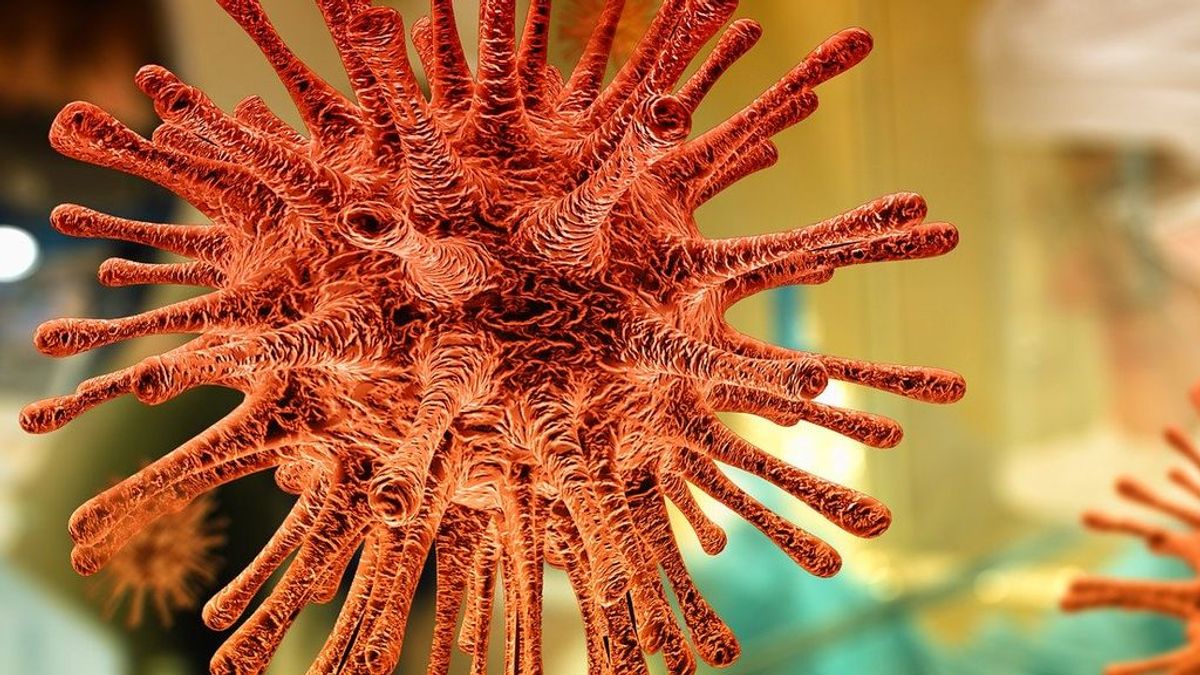Investigadores demuestran que un fármaco antiparasitario mata al coronavirus en 48 horas Investigadores demuestran que un fármaco antiparasitario mata al coronavirus en 48 horas