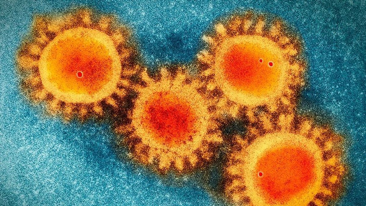Descubren la molécula que el coronavirus usa para atacar a los infectados