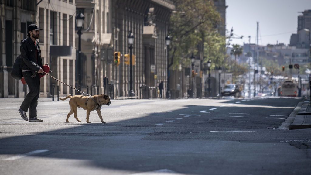 Las personas podrían transmitir el Covid-19 a perros, gatos y hurones Las personas podrían transmitir el Covid-19 a perros, gatos y hurones