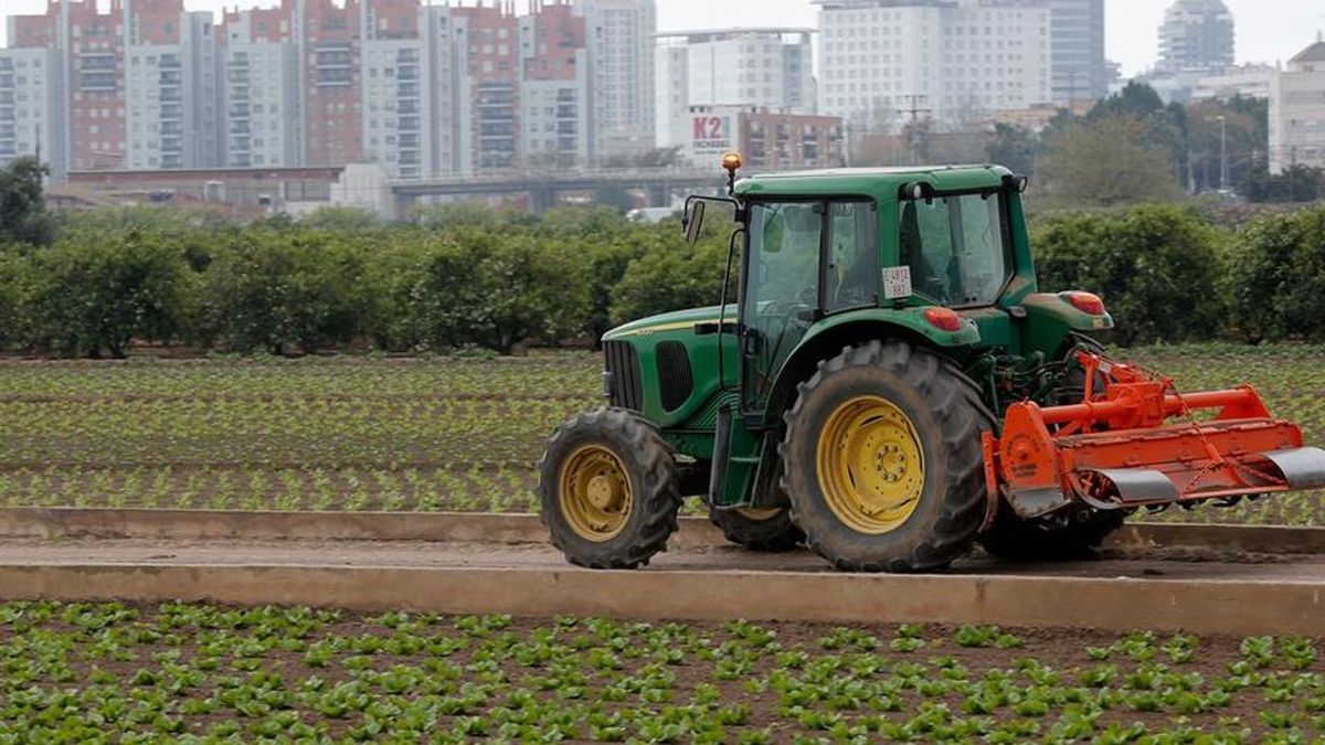 El Gobierno estudia que los parados puedan trabajar en el campo sin perder su prestación El Gobierno estudia que los parados puedan trabajar en el campo sin perder su prestación