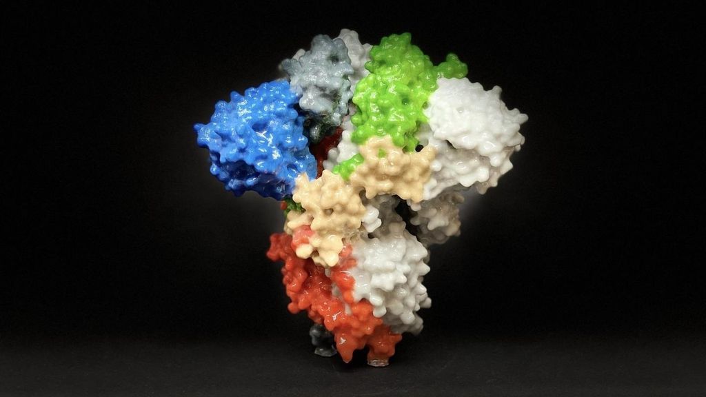 Así suena el coronavirus: un viaje tranquilo con apenas algunas disonancias Así suena el coronavirus: un viaje tranquilo con apenas algunas disonancias
