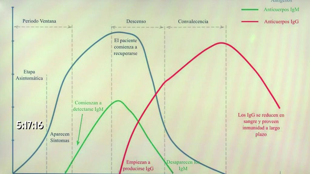 El médico Jesús Sánchez Martos explica las diferencias entre las pruebas con este gráfico