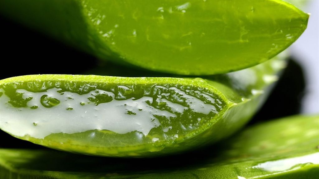 Utilizar el aloe vera de la forma más natural posible.