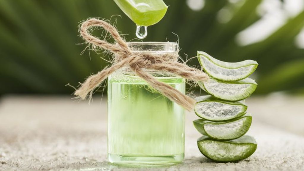 El aloe vera servirá para el pelo, la cara y los dientes.