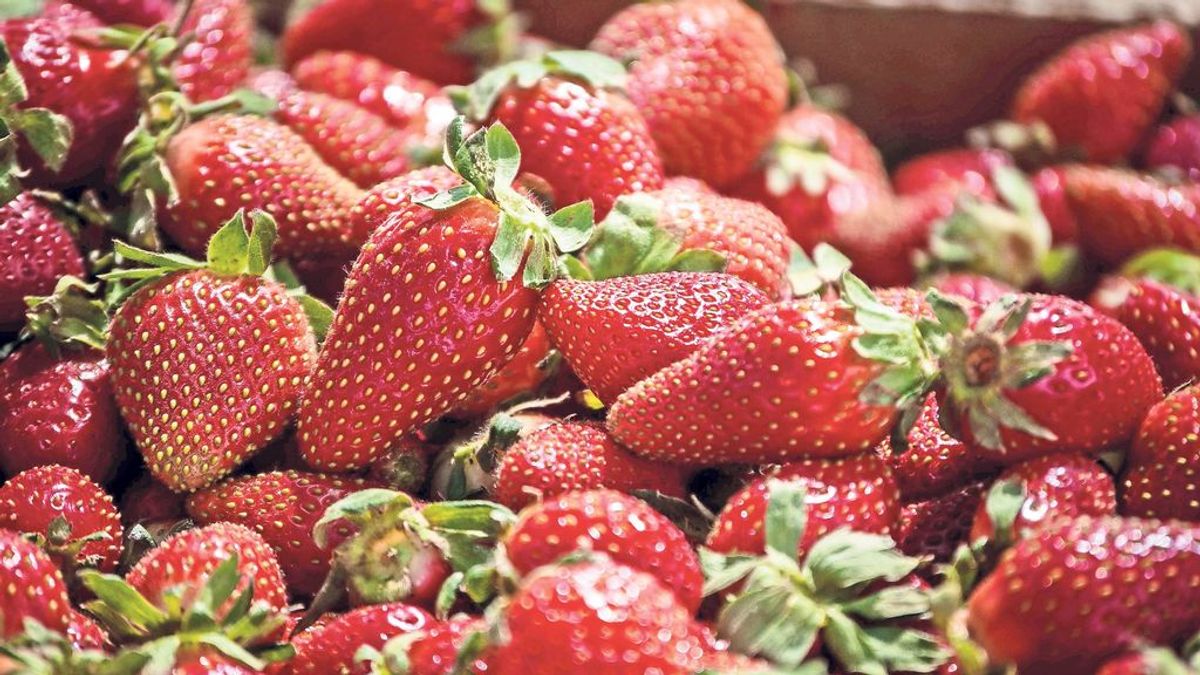 Alimentos que tienen colágeno y ayudan a tu salud Alimentos que tienen colágeno y ayudan a tu salud