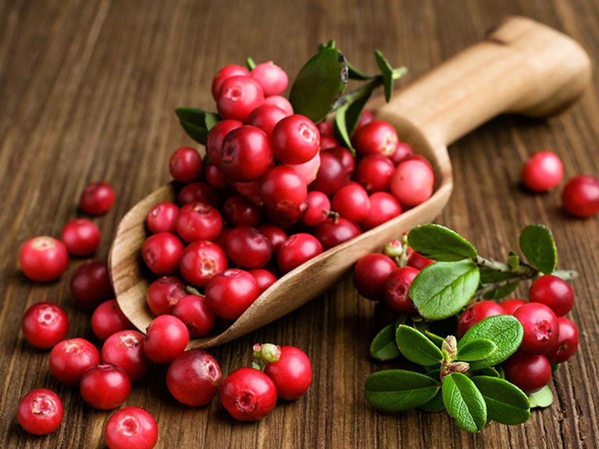 Soñar Que Orinas Y Orinarse De Verdad Arándanos rojos para prevenir la cistitis - Divinity