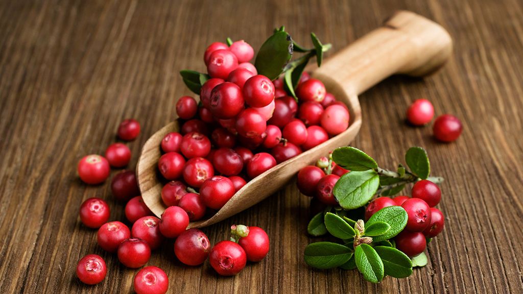 Los arándanos rojos serán muy recomendables como tratamiento contra la infección de orina.