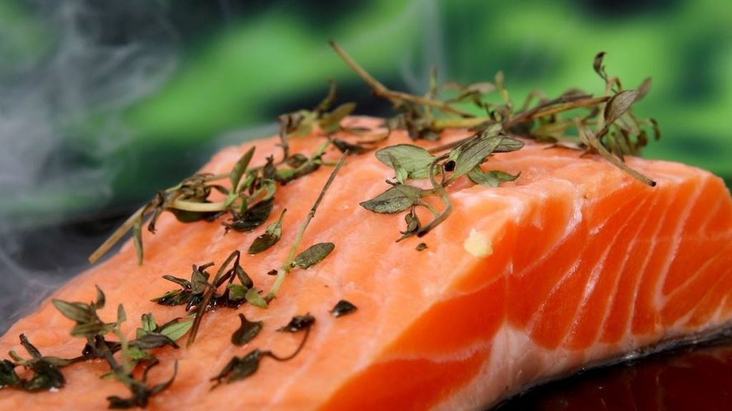 salmon