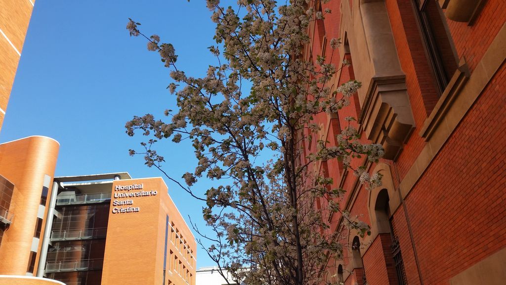 Muere el director médico del Hospital Santa Cristina de Madrid por coronavirus Muere el director médico del Hospital Santa Cristina de Madrid por coronavirus