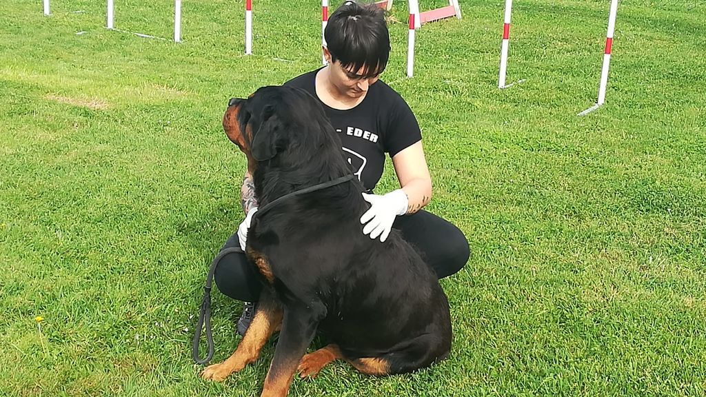 Perros estresados por el confinamiento: así les puede ayudar a superarlo Perros estresados por el confinamiento: así les puede ayudar a superarlo