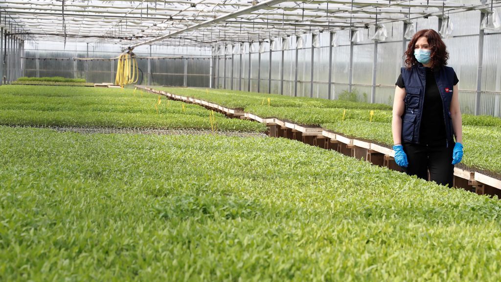 La presidenta de la Comunidad de Madrid, Isabel Díaz Ayuso, visita la IMIDRA en el municipio de Arganda del Rey
