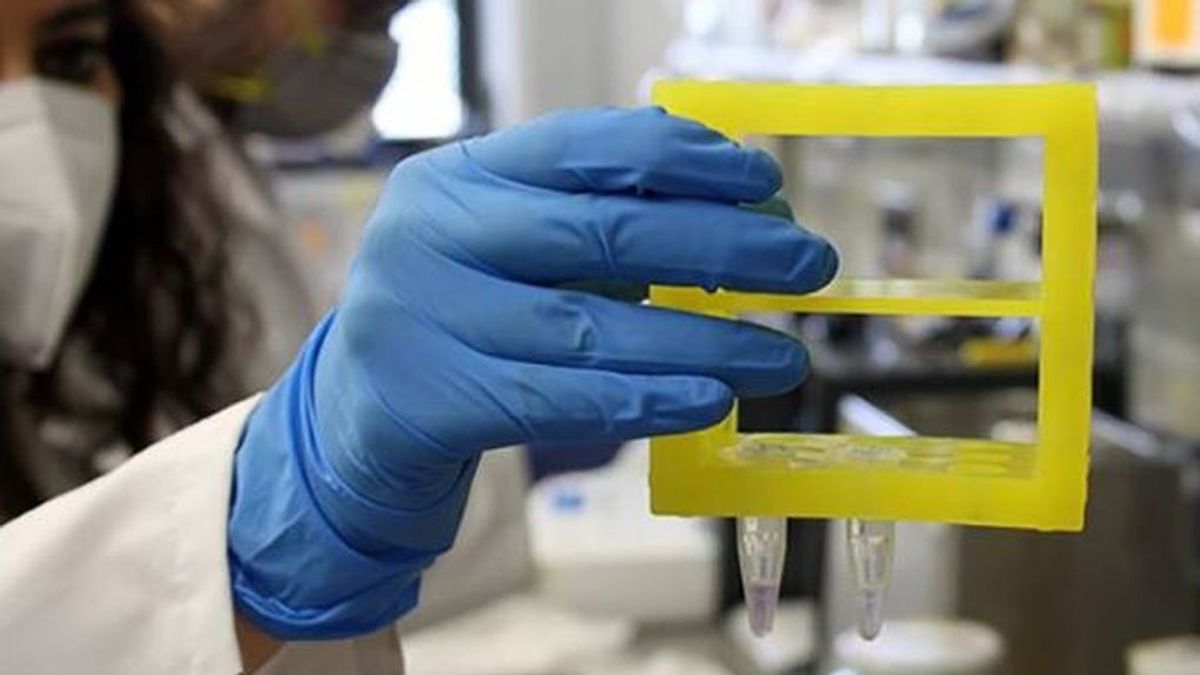 Test colorimétrico con nanopartículas de oro para detectar el coronavirus
