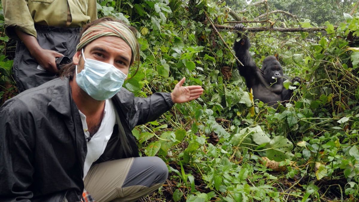 Gorilas de montaña y nuevas complicaciones en la construcción, en ‘Mzungu: Operación Congo’