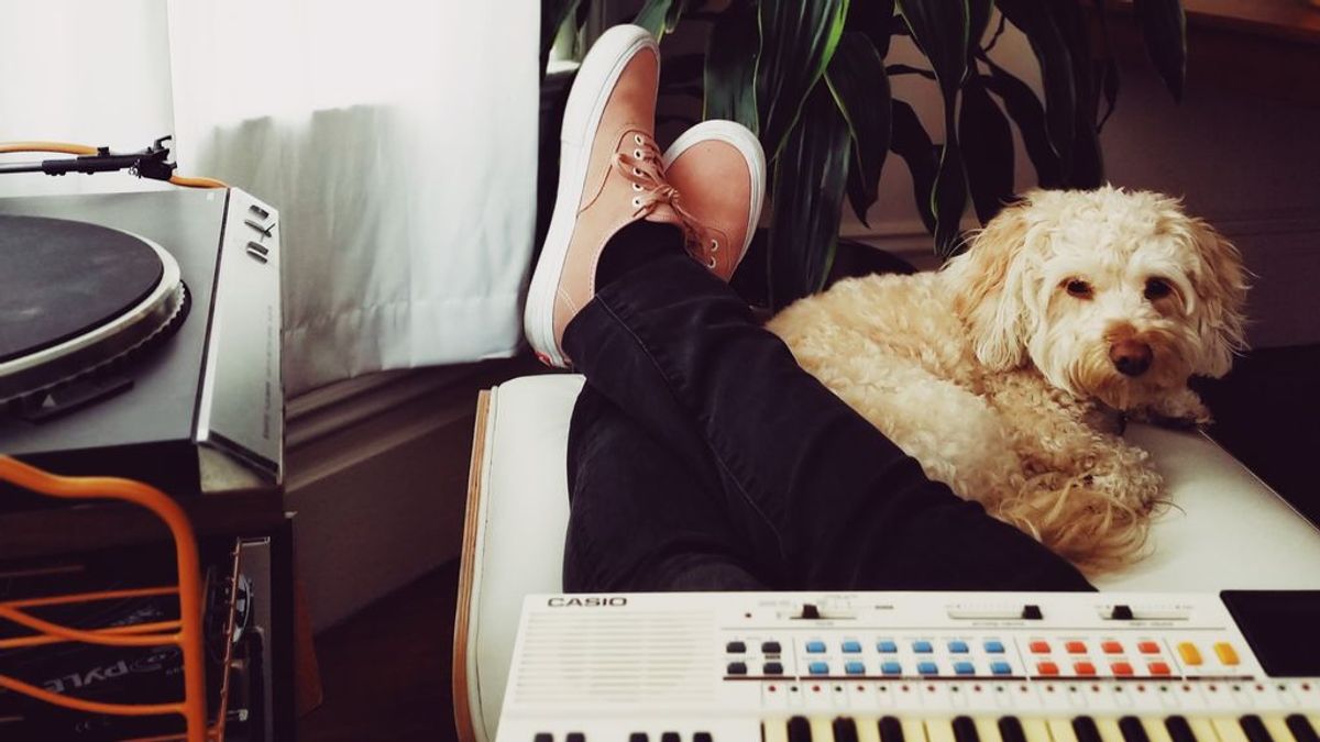 Que no pare la música: las mejores emisoras de radio para escuchar con tu perro