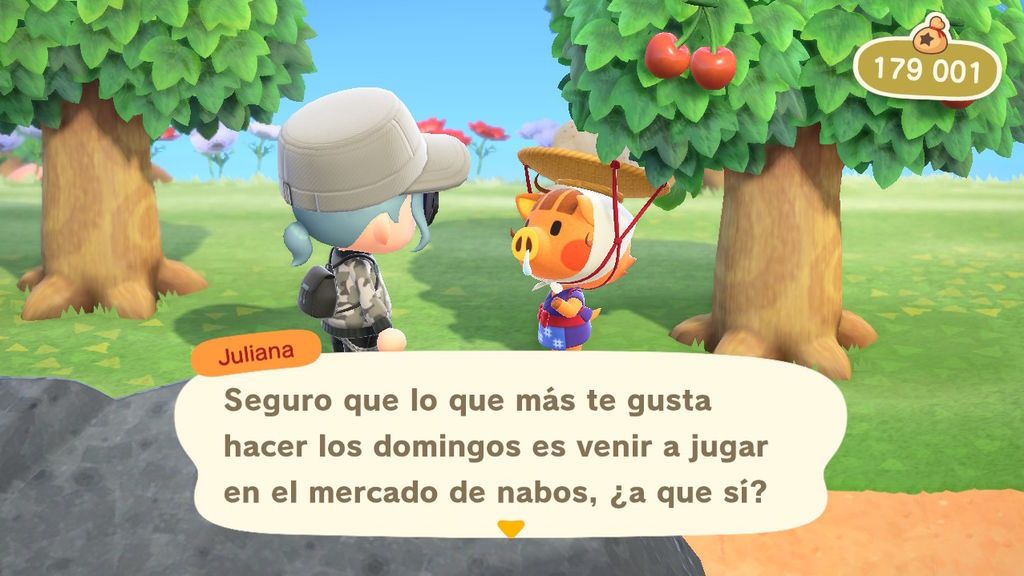 Animal Crossing: New Horizons