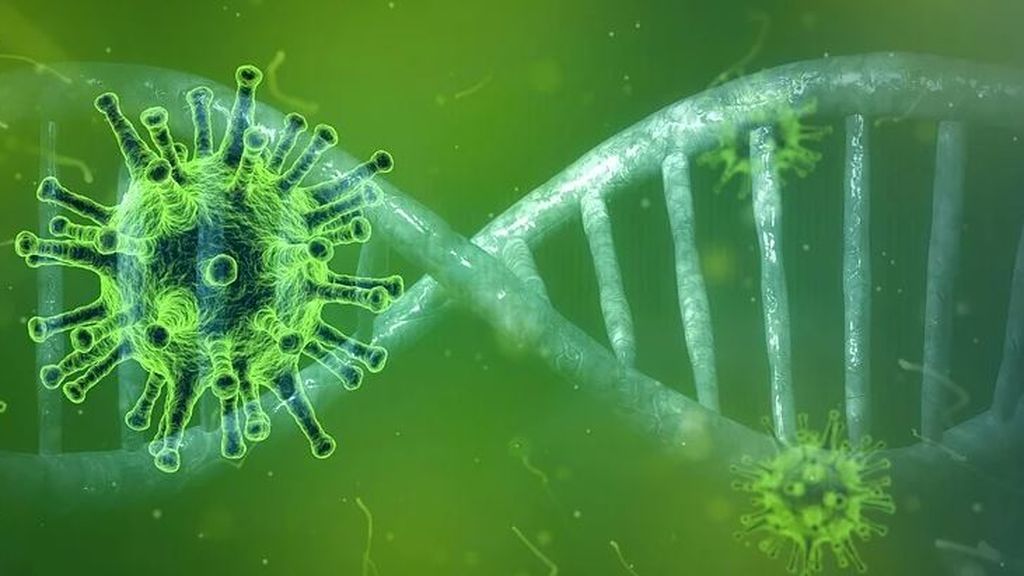 Los genes podrían ser la clave de los misterios del coronavirus: por qué unas personas agravan y otras no Los genes podrían ser la clave de los misterios del coronavirus: por qué unas personas agravan y otras no