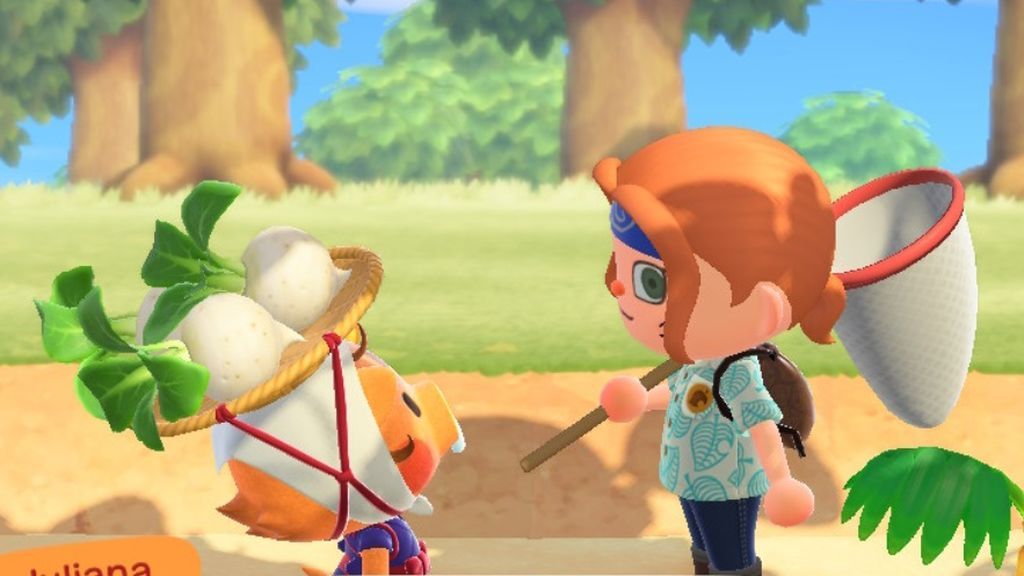 Animal Crossing: New Horizons