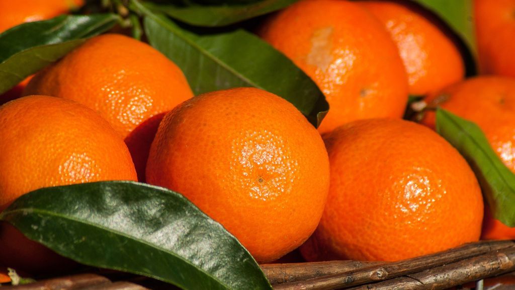 Naranjas y mandarinas, las reinas de la cesta de la compra