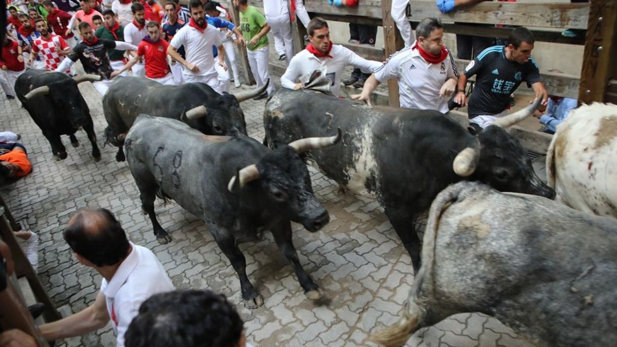 Pobre de mi: este año no se celebrará San Fermín Pobre de mi: este año no se celebrará San Fermín